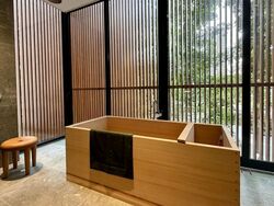 21 Anderson (D10), Condominium #517249081